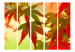 Room Divider Screen Colorful Leaves II - tree with red-green leaves on a light background 133985 additionalThumb 3