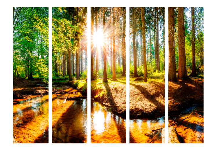 Room Separator Enchanted Forest II - river landscape amidst forest trees in sunlight 134085 additionalImage 3