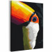 Paint by Number Kit Toucan 134885 additionalThumb 6