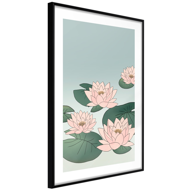 Poster Pink Water Lilies [Poster] 142485 additionalImage 11