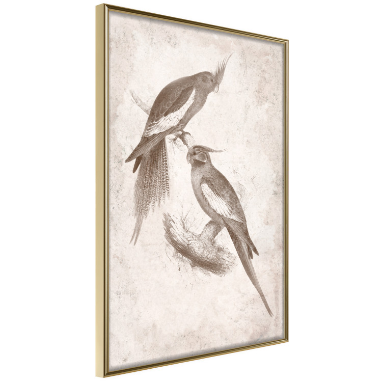 Wall Poster Parrots in the Style of Boho - Two Birds on the Branches and a Light Background 145185 additionalImage 5