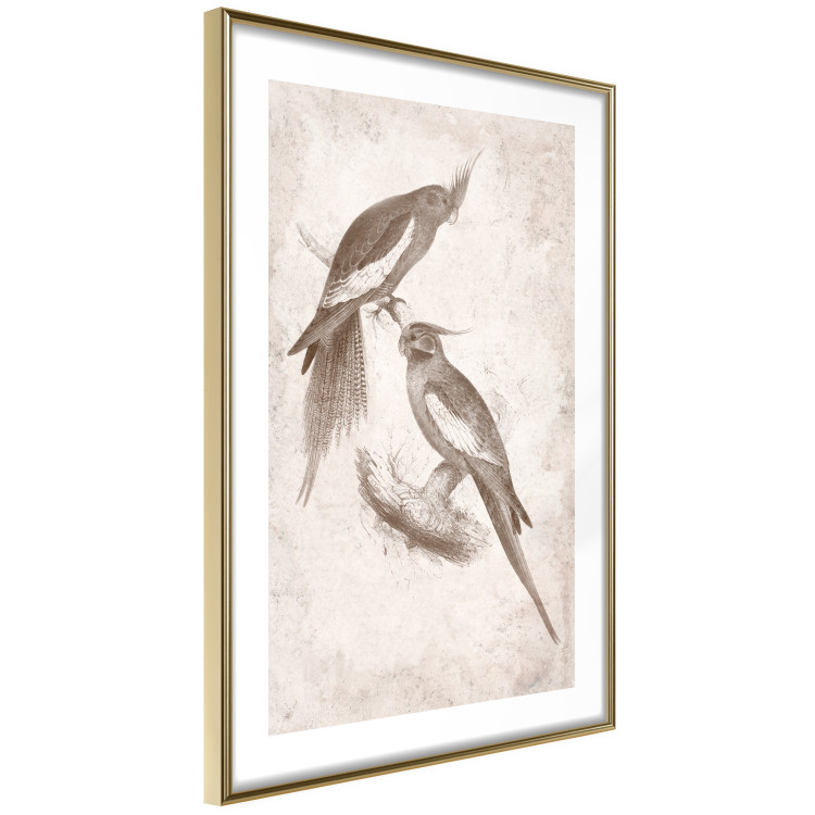 Wall Poster Parrots in the Style of Boho - Two Birds on the Branches and a Light Background 145185 additionalImage 12