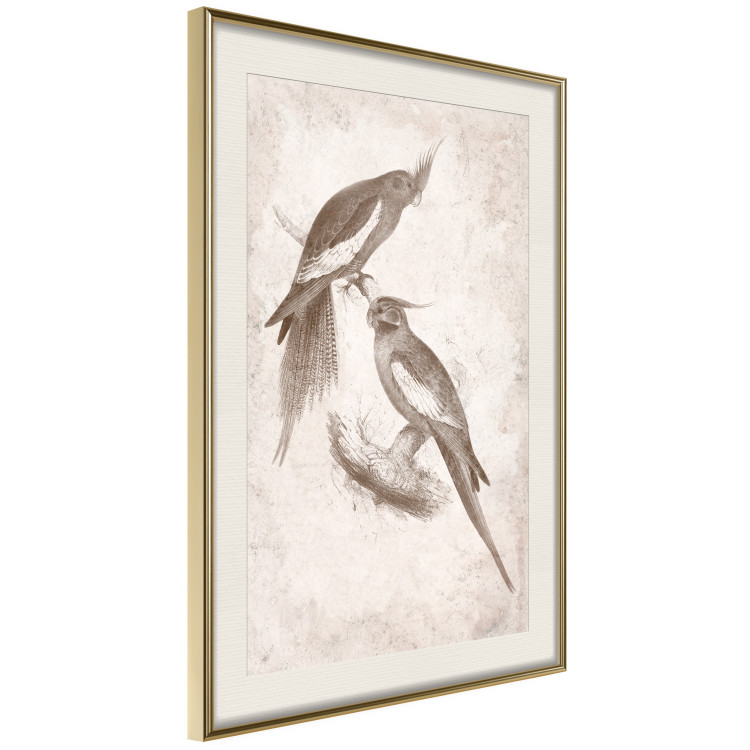 Wall Poster Parrots in the Style of Boho - Two Birds on the Branches and a Light Background 145185 additionalImage 11