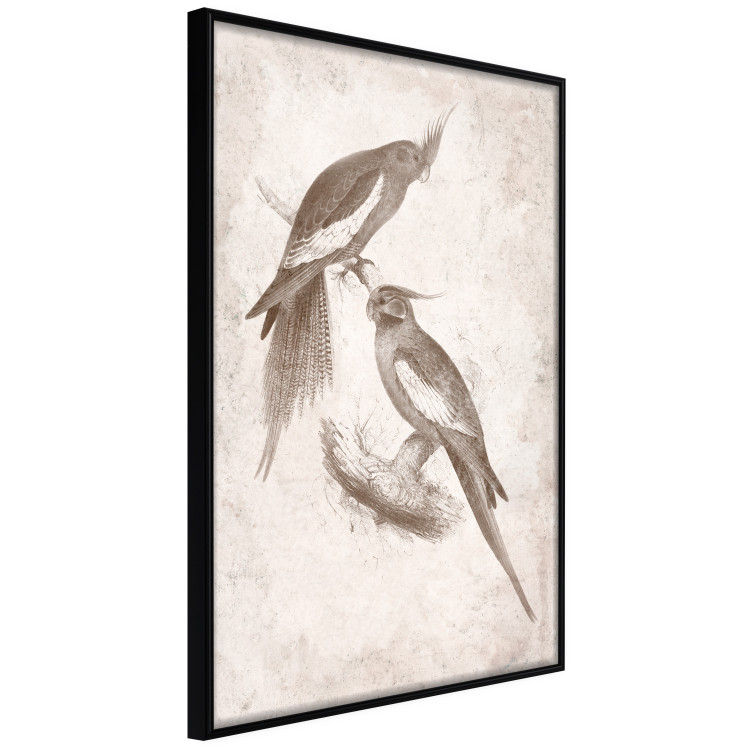 Wall Poster Parrots in the Style of Boho - Two Birds on the Branches and a Light Background 145185 additionalImage 7