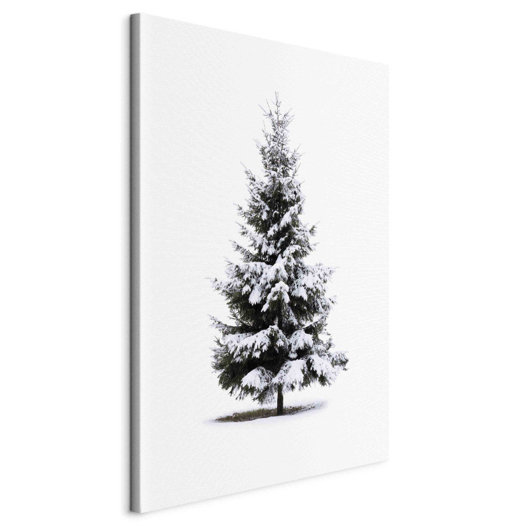 Canvas Winter Tree - Spruce Covered With Snow on a White Snowy Background 151685 additionalImage 2