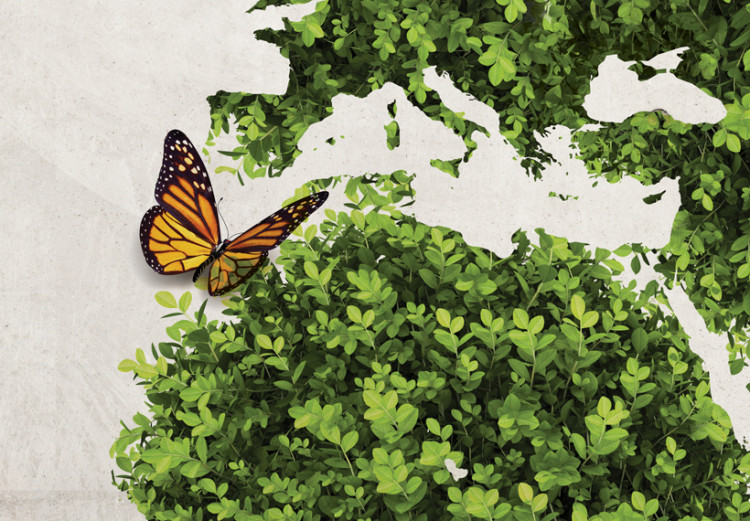 Canvas Art Print Green land of butterflies 55385 additionalImage 4