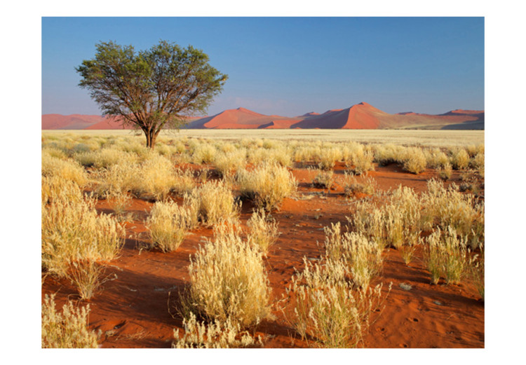 Photo Wallpaper Desert landscape, Namibia 60285 additionalImage 1