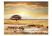 Photo Wallpaper Sunrise in Africa - Zebras on the savannah at a watering hole with a tree 61385