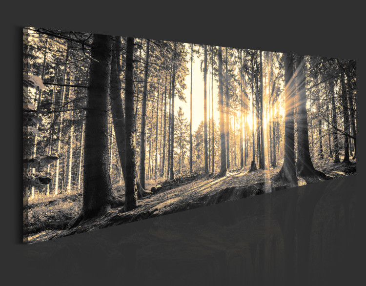 Print On Glass Forest Sun [Glass] 94185 additionalImage 6
