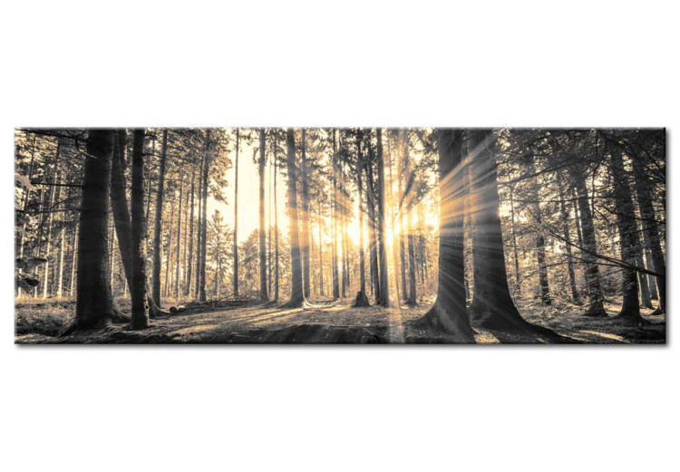 Print On Glass Forest Sun [Glass] 94185 additionalImage 2