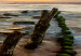 Canvas Wooden Breakwaters 106795 additionalThumb 5