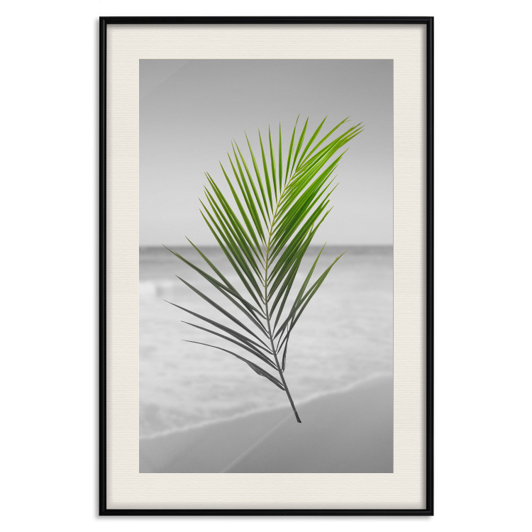 Wall Poster Green Palm Branch - Tropical plant and sea with beach in the background 114395 additionalImage 18