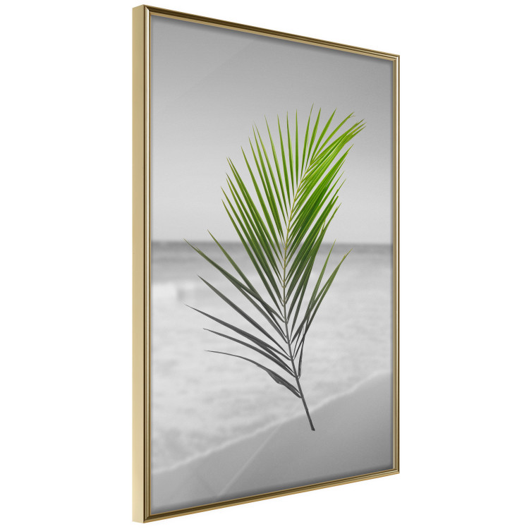 Wall Poster Green Palm Branch - Tropical plant and sea with beach in the background 114395 additionalImage 14