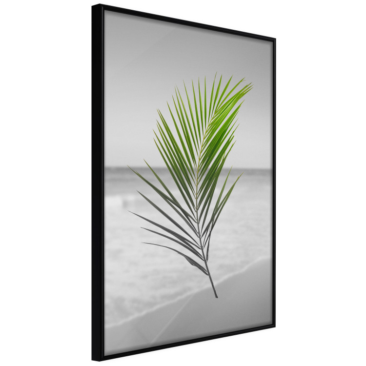 Wall Poster Green Palm Branch - Tropical plant and sea with beach in the background 114395 additionalImage 10