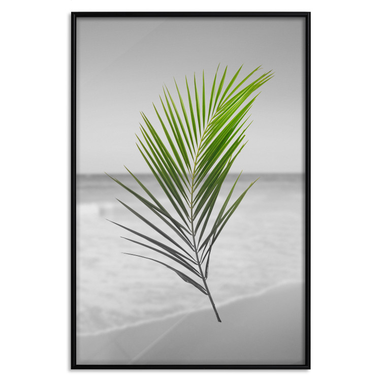Wall Poster Green Palm Branch - Tropical plant and sea with beach in the background 114395 additionalImage 18