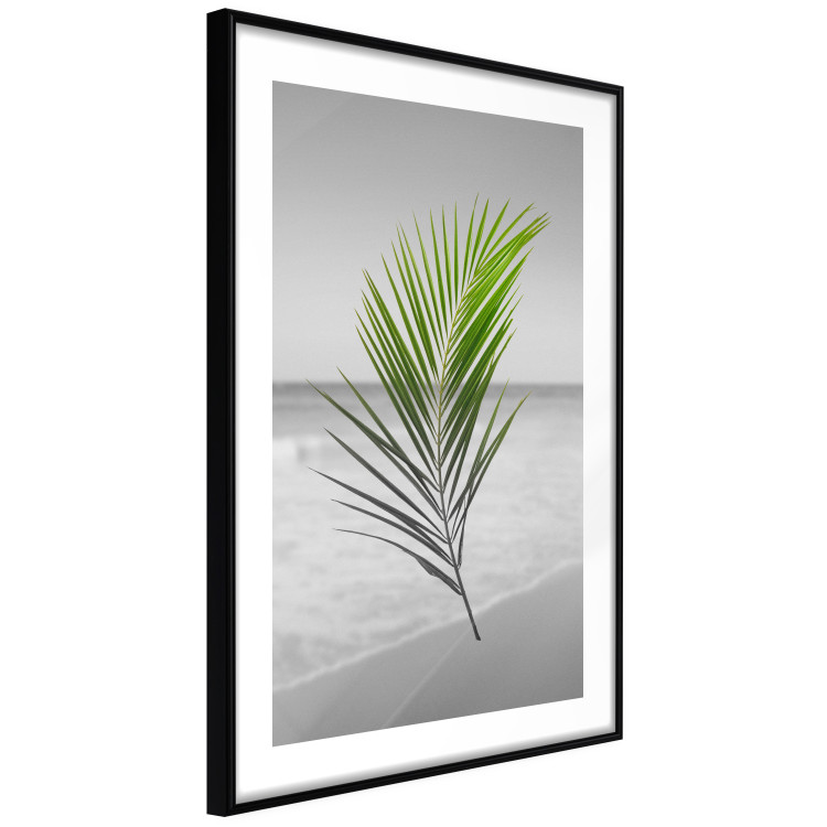 Wall Poster Green Palm Branch - Tropical plant and sea with beach in the background 114395 additionalImage 11