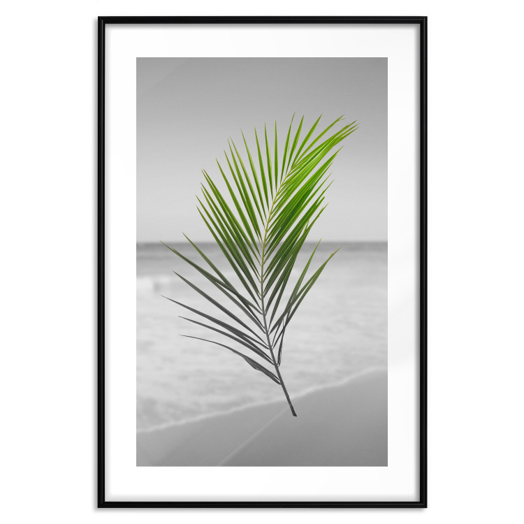 Wall Poster Green Palm Branch - Tropical plant and sea with beach in the background 114395 additionalImage 17