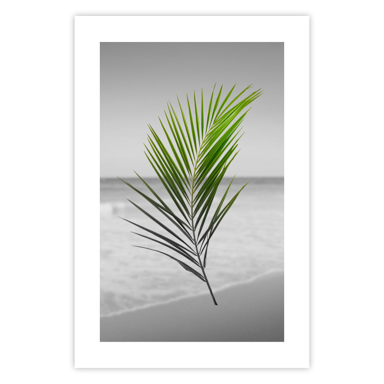 Wall Poster Green Palm Branch - Tropical plant and sea with beach in the background 114395 additionalImage 25