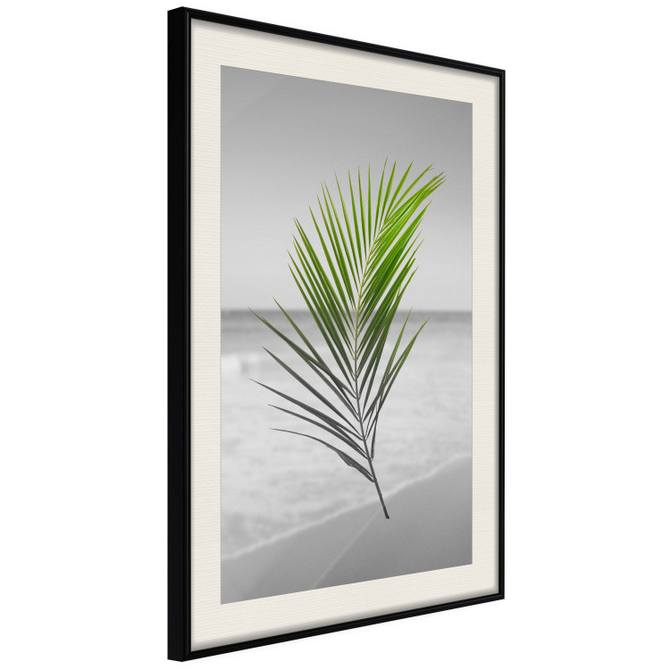 Wall Poster Green Palm Branch - Tropical plant and sea with beach in the background 114395 additionalImage 3