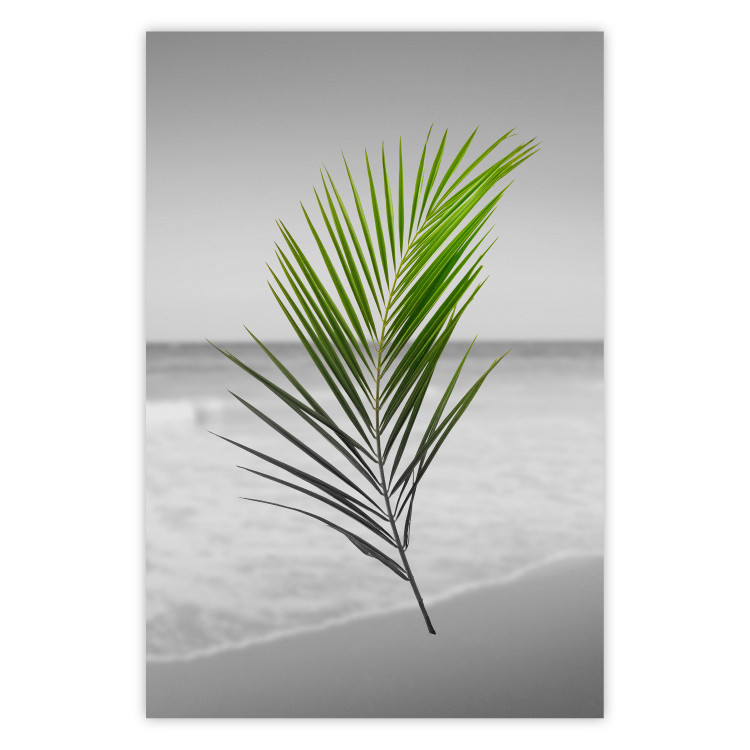 Wall Poster Green Palm Branch - Tropical plant and sea with beach in the background 114395
