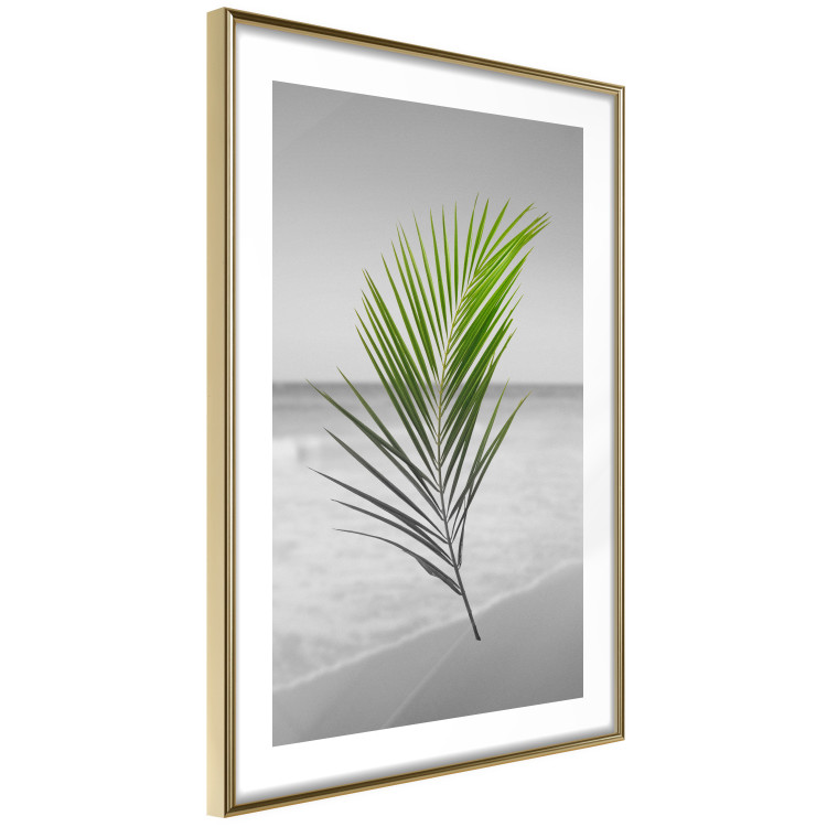 Wall Poster Green Palm Branch - Tropical plant and sea with beach in the background 114395 additionalImage 6