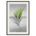 Wall Poster Green Palm Branch - Tropical plant and sea with beach in the background 114395 additionalThumb 18