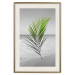 Wall Poster Green Palm Branch - Tropical plant and sea with beach in the background 114395 additionalThumb 19
