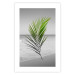 Wall Poster Green Palm Branch - Tropical plant and sea with beach in the background 114395 additionalThumb 19