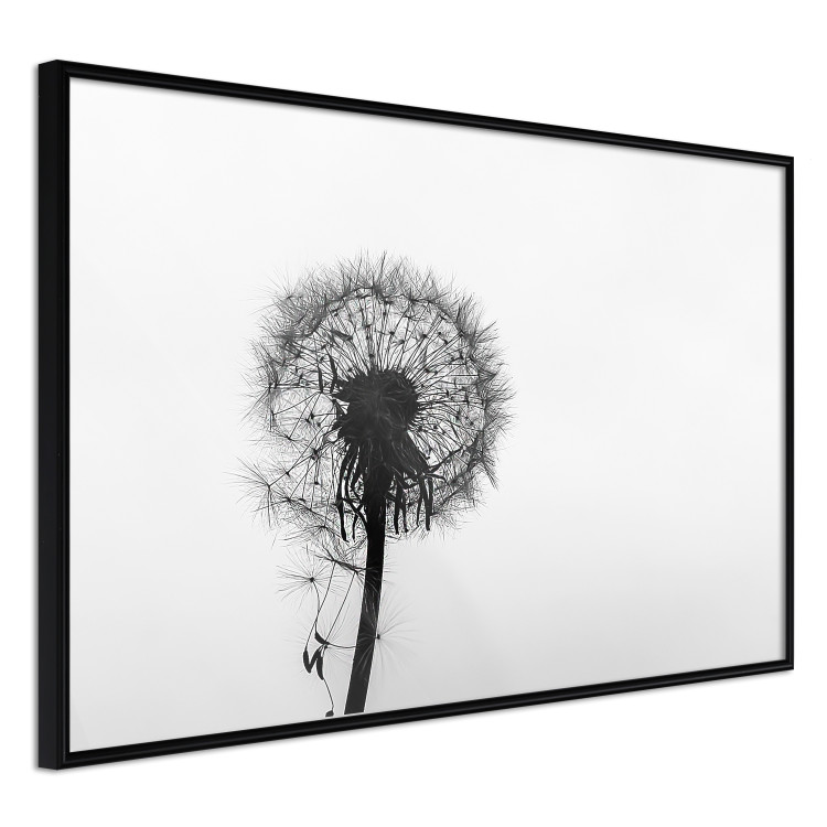 Poster Loneliness - black and white composition with a solitary delicate dandelion 114995 additionalImage 10