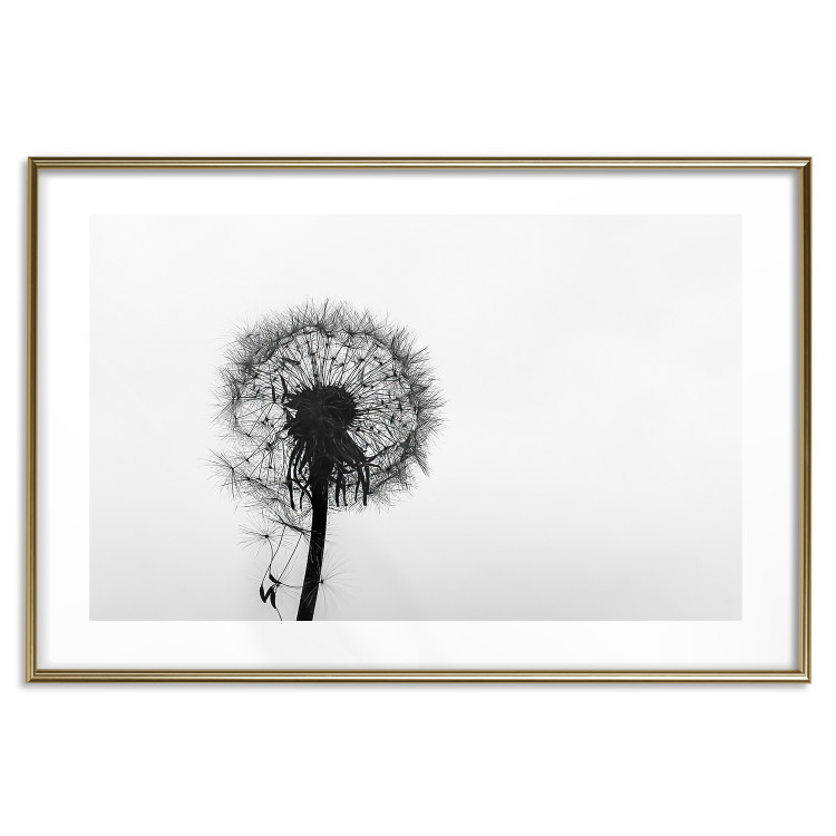 Poster Loneliness - black and white composition with a solitary delicate dandelion 114995 additionalImage 14