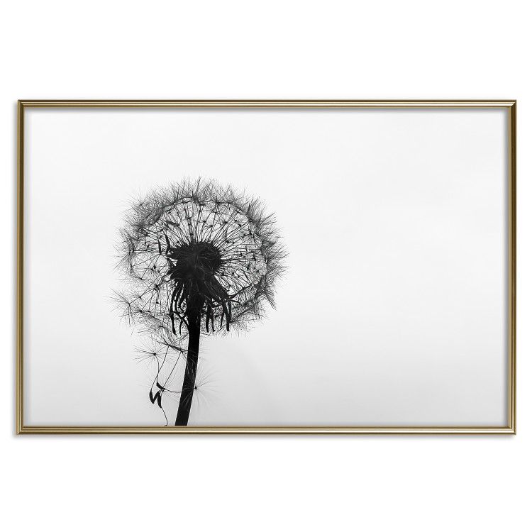 Poster Loneliness - black and white composition with a solitary delicate dandelion 114995 additionalImage 16