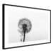 Poster Loneliness - black and white composition with a solitary delicate dandelion 114995 additionalThumb 11