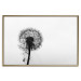 Poster Loneliness - black and white composition with a solitary delicate dandelion 114995 additionalThumb 16