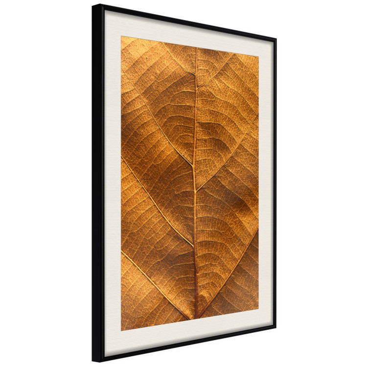 Poster Autumn Leaf - golden texture of a leaf with intricate details 123795 additionalImage 3