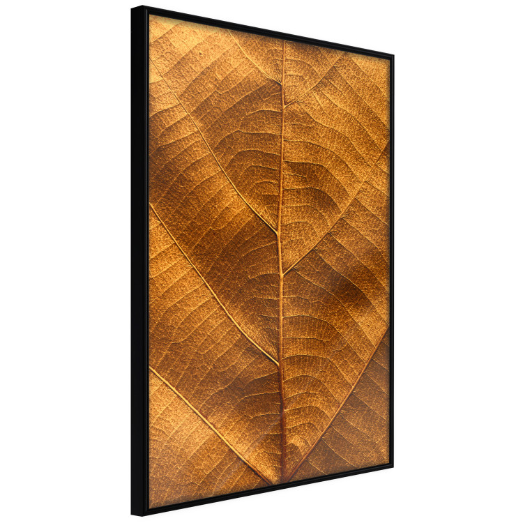 Poster Autumn Leaf - golden texture of a leaf with intricate details 123795 additionalImage 12