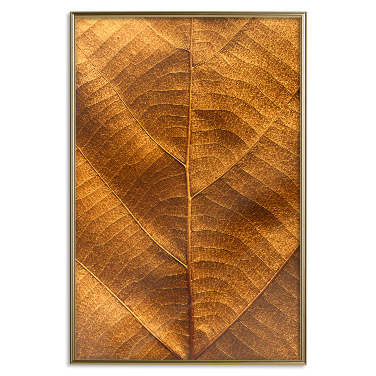 Poster Autumn Leaf - golden texture of a leaf with intricate details 123795 additionalImage 20