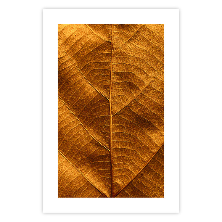 Poster Autumn Leaf - golden texture of a leaf with intricate details 123795 additionalImage 25