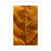 Poster Autumn Leaf - golden texture of a leaf with intricate details 123795 additionalThumb 25