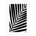 Poster Precious Leaf - pattern of a black leaf on a contrasting white background 125095 additionalThumb 25
