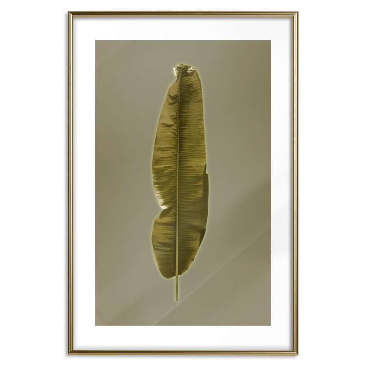 Wall Poster Exotic Leaf - green leaf from a banana tree on a solid background 126195 additionalImage 14