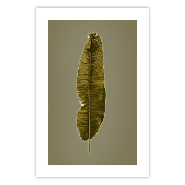 Wall Poster Exotic Leaf - green leaf from a banana tree on a solid background 126195 additionalImage 25