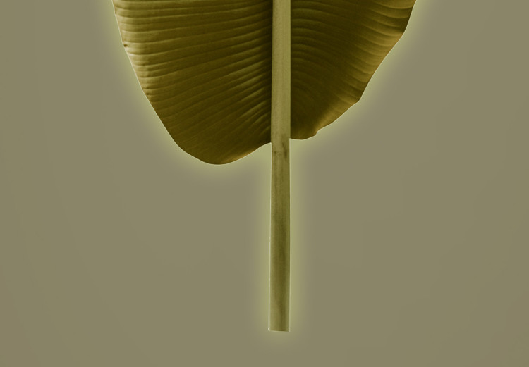 Wall Poster Exotic Leaf - green leaf from a banana tree on a solid background 126195 additionalImage 10