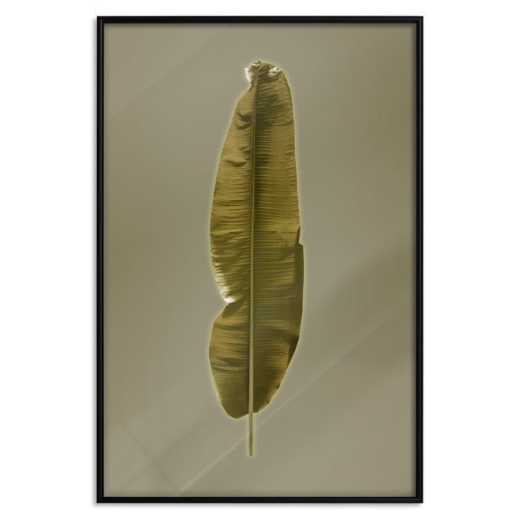 Wall Poster Exotic Leaf - green leaf from a banana tree on a solid background 126195 additionalImage 24