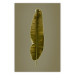 Wall Poster Exotic Leaf - green leaf from a banana tree on a solid background 126195