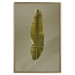 Wall Poster Exotic Leaf - green leaf from a banana tree on a solid background 126195 additionalThumb 20