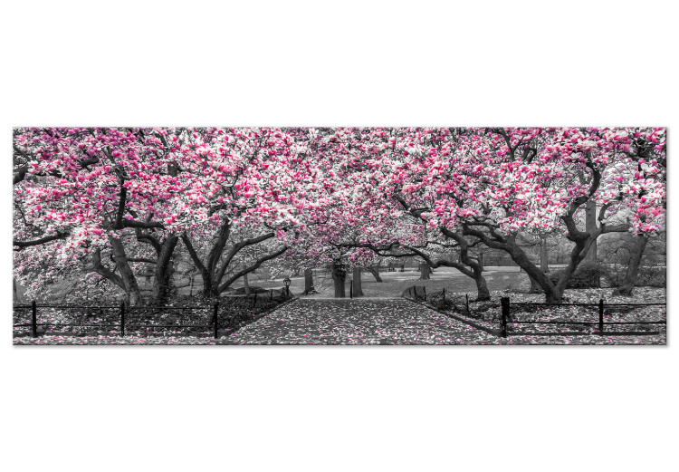 Canvas Magnolia Park (1-part) narrow - pink flowers in a gray setting 128795