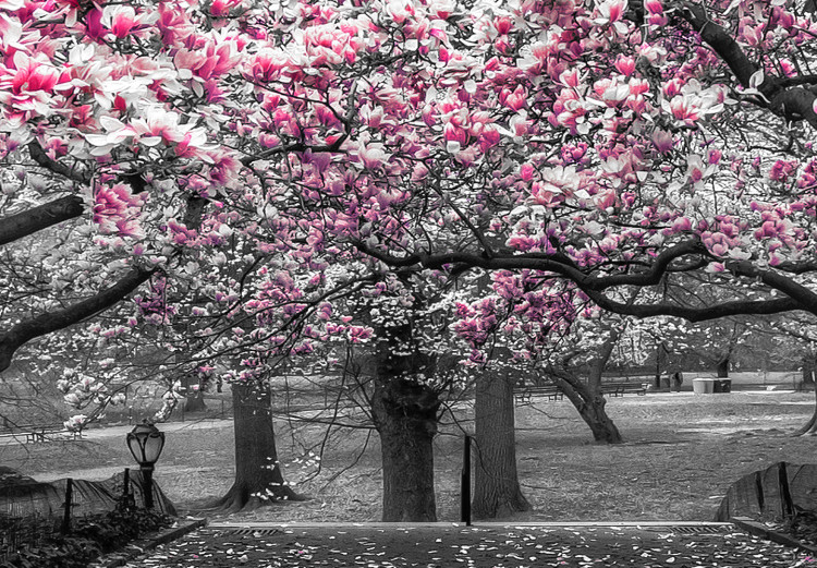 Canvas Magnolia Park (1-part) narrow - pink flowers in a gray setting 128795 additionalImage 5