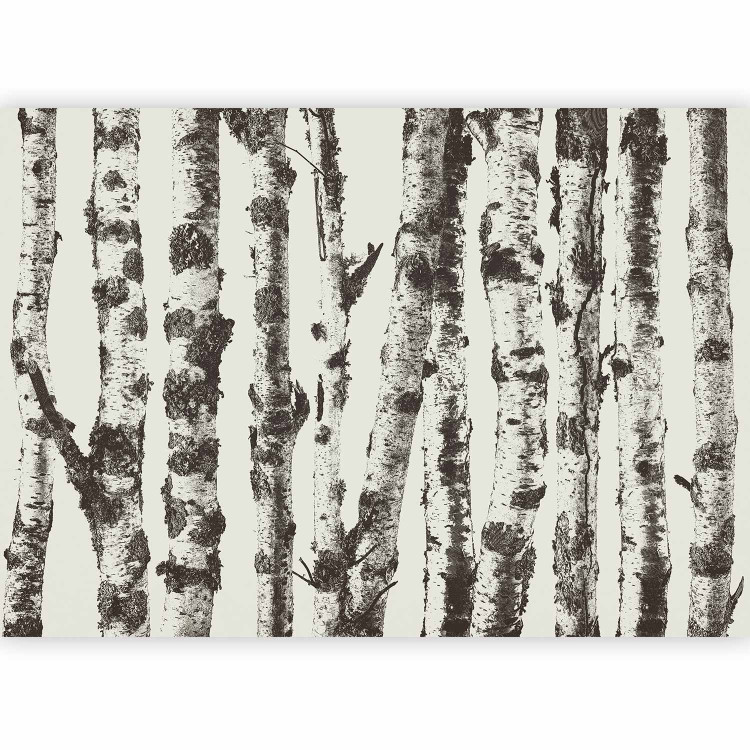 Wall Mural Stately Birches - First Variant 130495 additionalImage 1