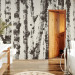 Wall Mural Stately Birches - First Variant 130495 additionalThumb 8