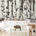 Wall Mural Stately Birches - First Variant 130495 additionalThumb 6